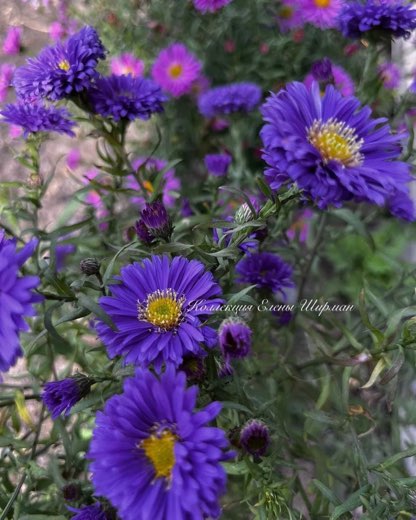 №19. Sea Marmara Blue